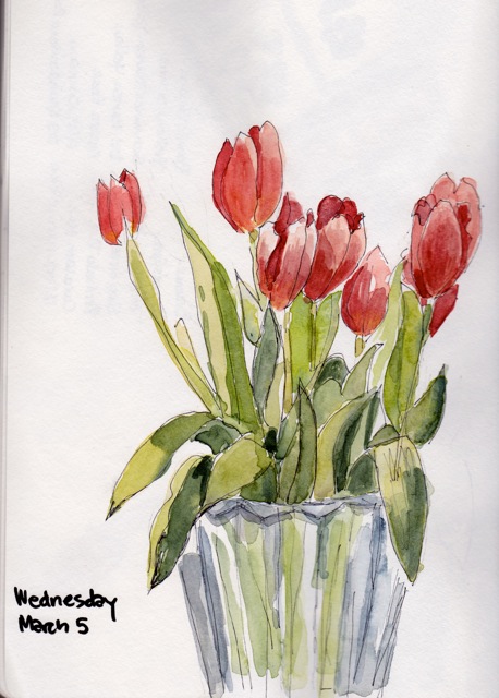 tulips mar 5 2014