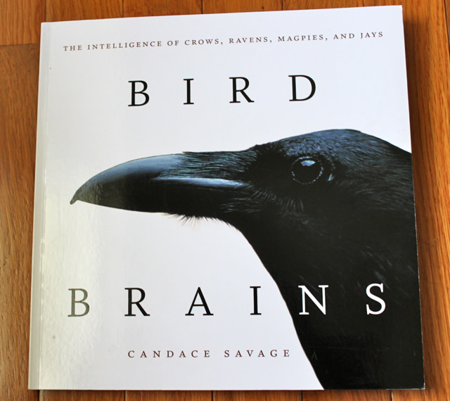 birdbrains book